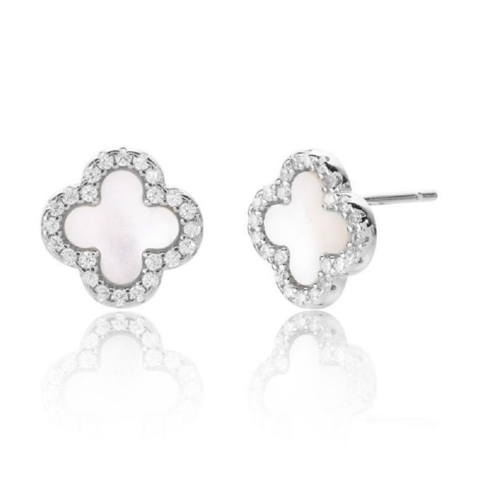 Clover-white-ear-1